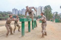 英雄联盟总决赛赛程-关于战术演练精益求精，球队整体实力提升的信息