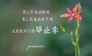 英雄联盟总决赛时间-沙漠绿洲的奇迹夜，费利克斯导演压制，越南补时绝杀卡塔尔，A组暗藏冠军相