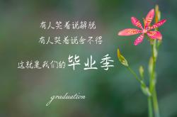 英雄联盟总决赛时间-沙漠绿洲的奇迹夜，费利克斯导演压制，越南补时绝杀卡塔尔，A组暗藏冠军相