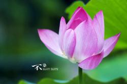 -戈麦斯爆发独揽两元，马里客场稳稳拿下皇家社会