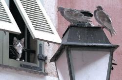 英雄联盟总决赛时间-两个法老，一场战争，萨拉赫的沙漠征途与莫德里奇的伦敦王座