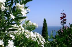 英雄联盟总决赛门票-跨越时空的唯一性，从篮球场到赛车道的终极逆转