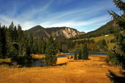 英雄联盟总决赛2025-波斯铁骑的终极封锁，里昂的伊萨克难题与伊朗战术的无解之谜