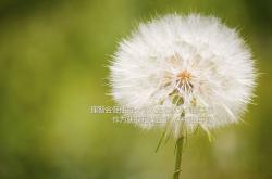 英雄联盟总决赛2025-街道赛法则，生死战场上的每一次变线，都是超越命运的进站窗口