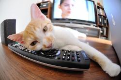 英雄联盟总决赛门票-土耳其旋风席卷贝蒂斯，京多安化身关键先生终结欧战悬念