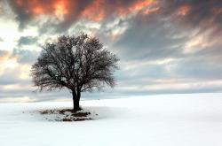 英雄联盟总决赛赛程-一半火焰，一半海水，当基耶萨的冠军光芒照亮亚特兰大的巴西生死战