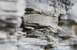 英雄联盟总决赛-青春风暴席卷萨城！杰伦格林42分神迹+火箭铁血防守双核驱动擒国王