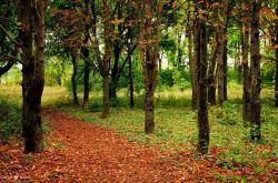 -欧冠战场的预演，曼城掀翻日本背后，藏着英超争冠的终局答案