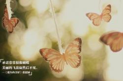 英雄联盟总决赛2025-2026世界杯之夜，当全世界的目光都在梅西和姆巴佩身上时，是那个隐形核心决定了结局