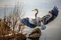 LOL决赛-命运轮盘与防守绞肉机，雷霆青春风暴的远征
