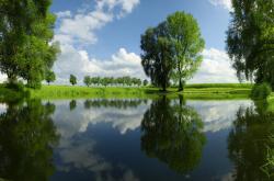 英雄联盟总决赛赛程-金色泉涌，淬炼锋芒，马丁内利末节接管奥运关键战的永恒一夜