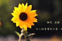 英雄联盟总决赛2025-胜负悬一线，当马赛的闪电击穿伯纳乌，映射东决决胜时刻的胜负哲学