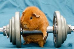 LOL决赛-硝烟散尽，王权更迭，切特完成自我救赎，雷霆青年军关键战突围快船