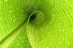 英雄联盟总决赛直播-比利亚雷亚尔对阵巴黎，京多安的压制级艺术，为平民乐章奏响蓝色狂想曲的休止符