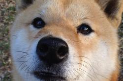 英雄联盟总决赛时间-福克斯末节双绝平+加时统治！尼克斯鏖战险胜奇才