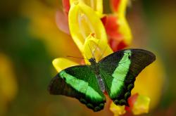 -平行宇宙的绿茵场，当日本稳稳拿下墨西哥时，皮克正在另一时空带队取胜