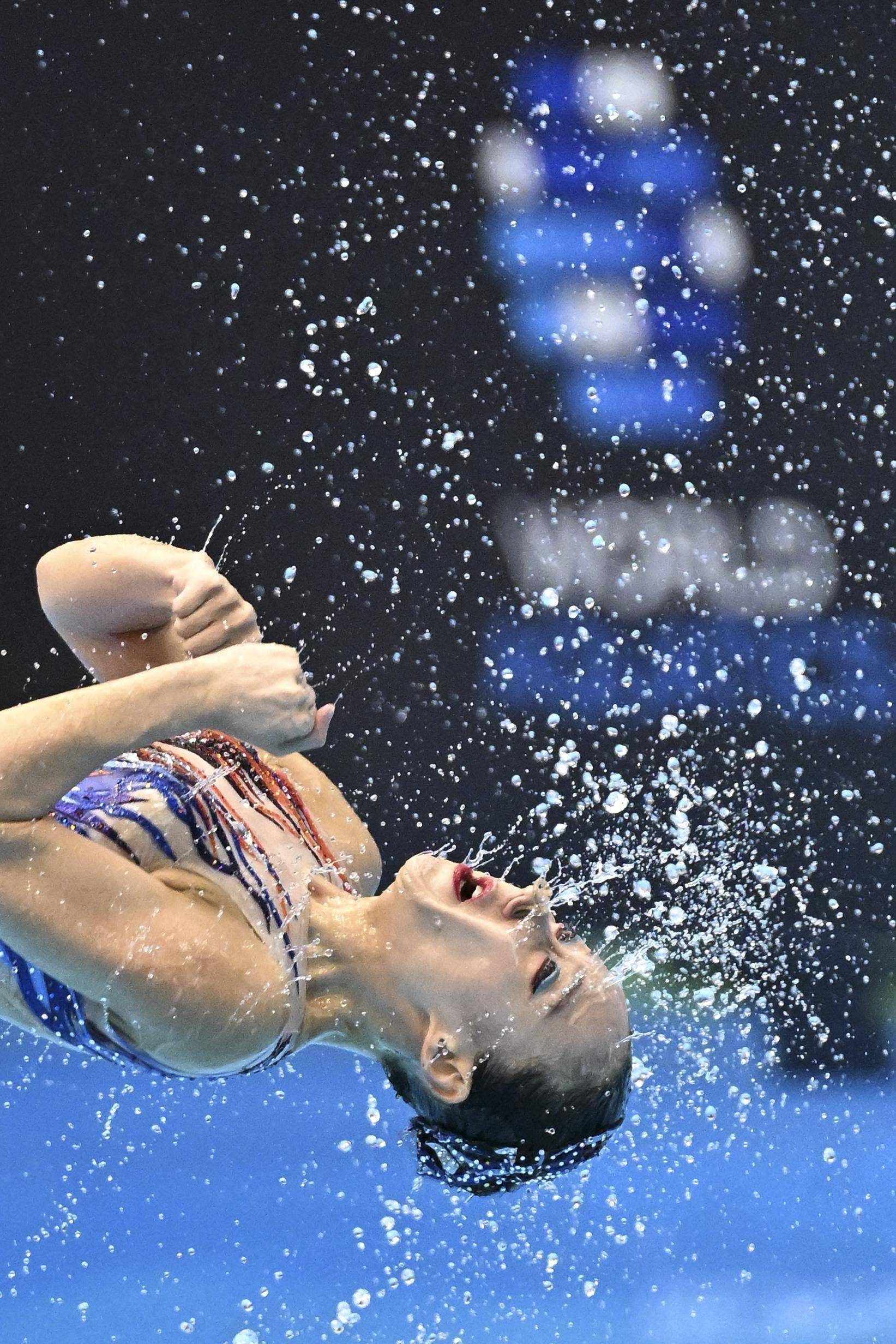 焦点大战：游泳上演巅峰碰撞的简单介绍