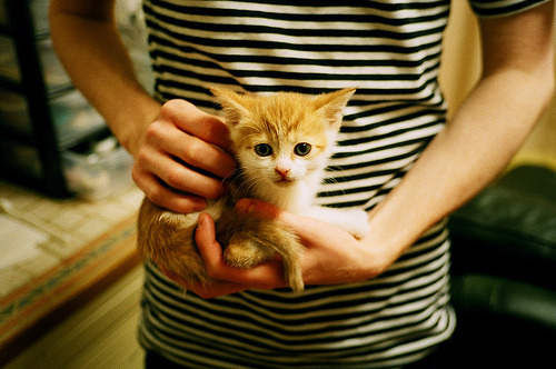 利爪粉碎休城!火箭瞬间窒息,范弗利特这记三分为何配称关键先生之证