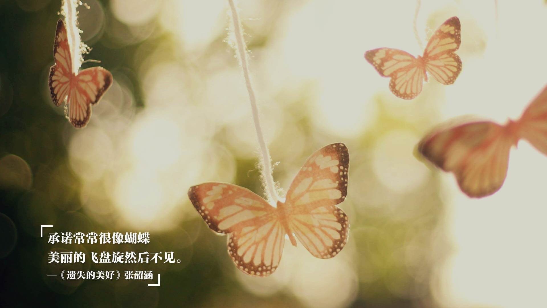 冰火协奏曲,当北欧风暴点燃加勒比海之夜