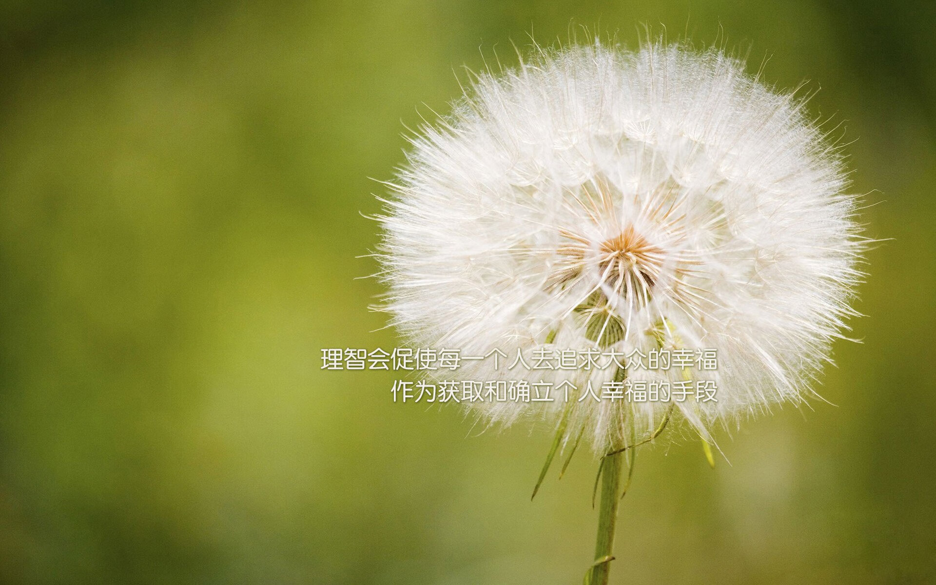 街道赛法则，生死战场上的每一次变线，都是超越命运的进站窗口