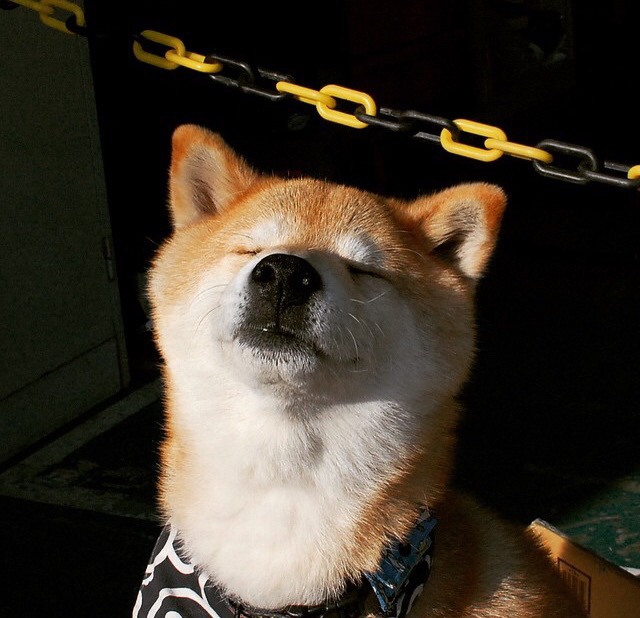 篮球狙击手跨维降临，英超争冠战遭强行终结