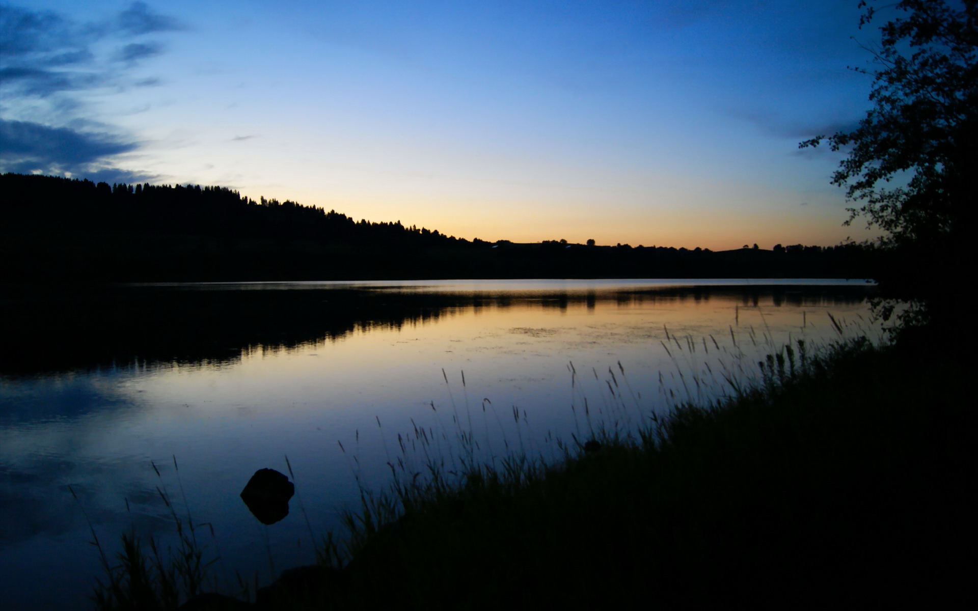 神谕之战,当马里传说在阿姆斯特丹上空回响