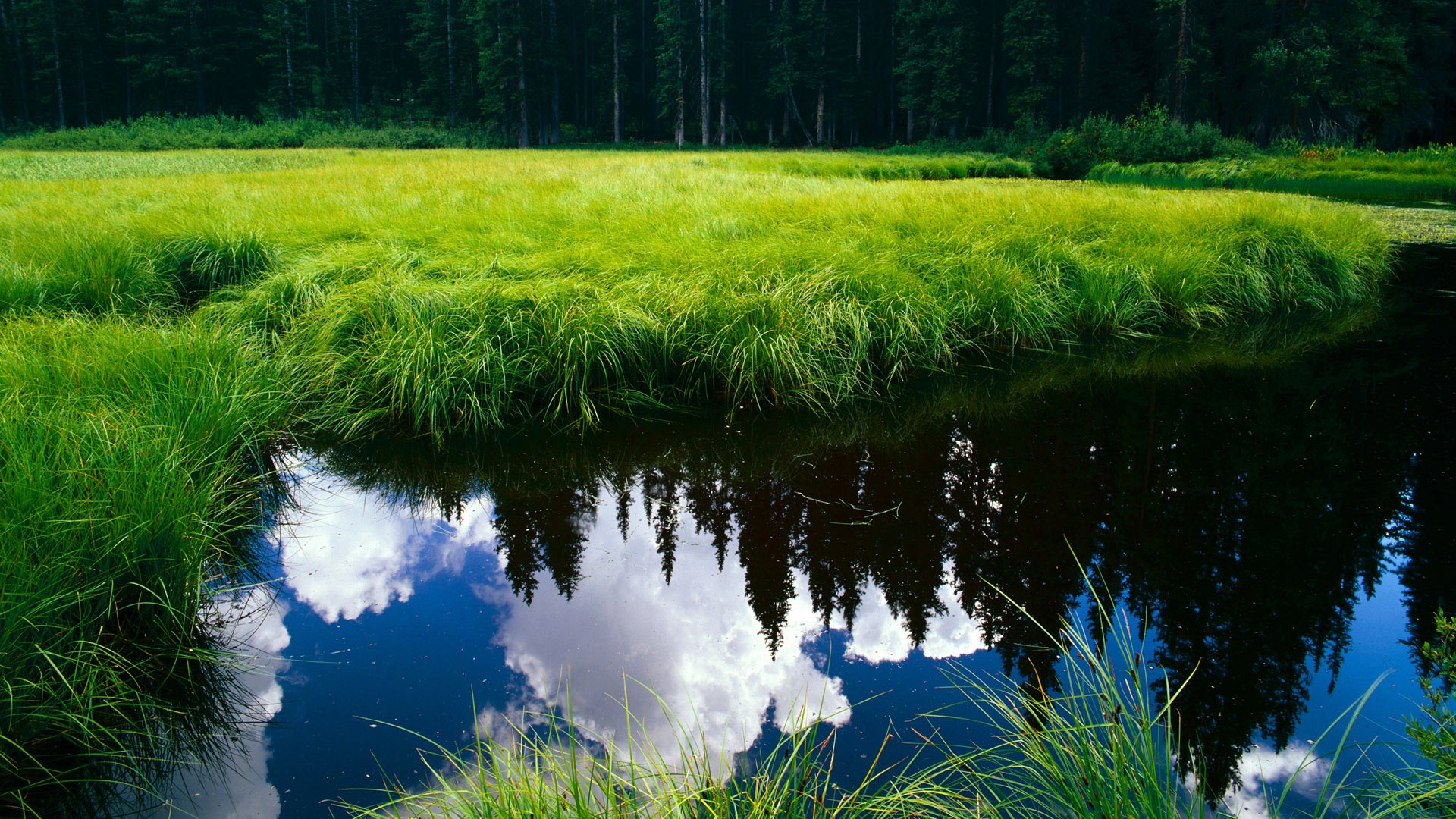 蒙特利尔寒流席卷卡迪夫湾,解析年度争冠天平倾斜的加拿大之战