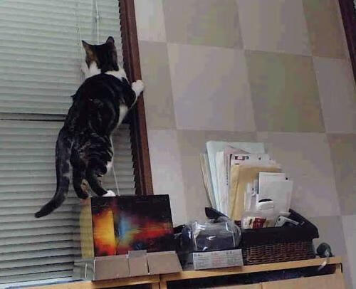 深红海洋与黄金黎明，杜兰特在年度焦点之战之夜的自我救赎