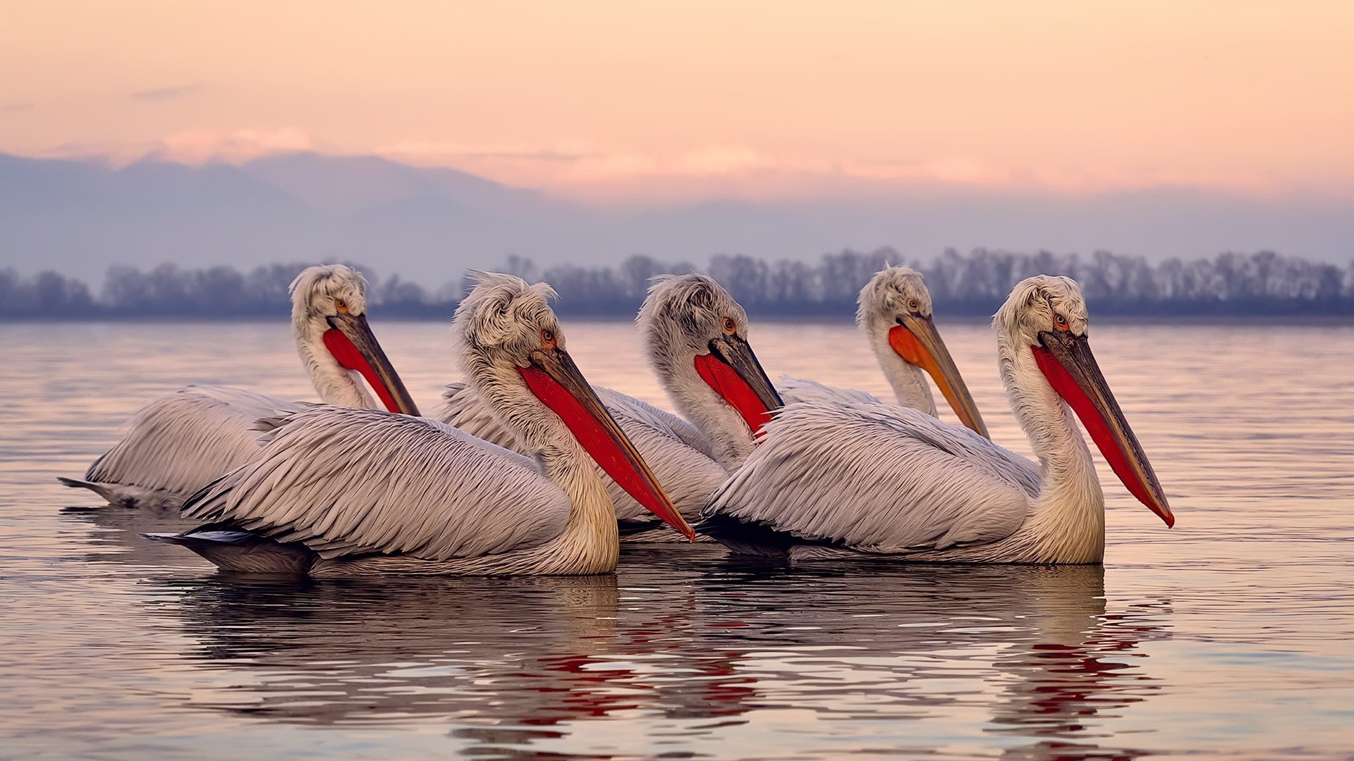 浓眉化身守护神,一记封盖终结勇士王朝,开拓者闯入西决改写西部疆域