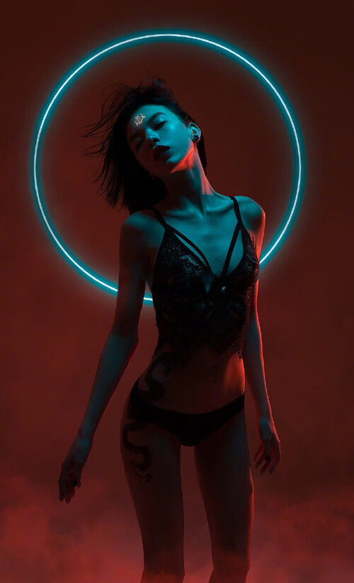 孤帆渡重洋,当广厦队的唯一变量范弗利特,撞上勇士的体系洪流