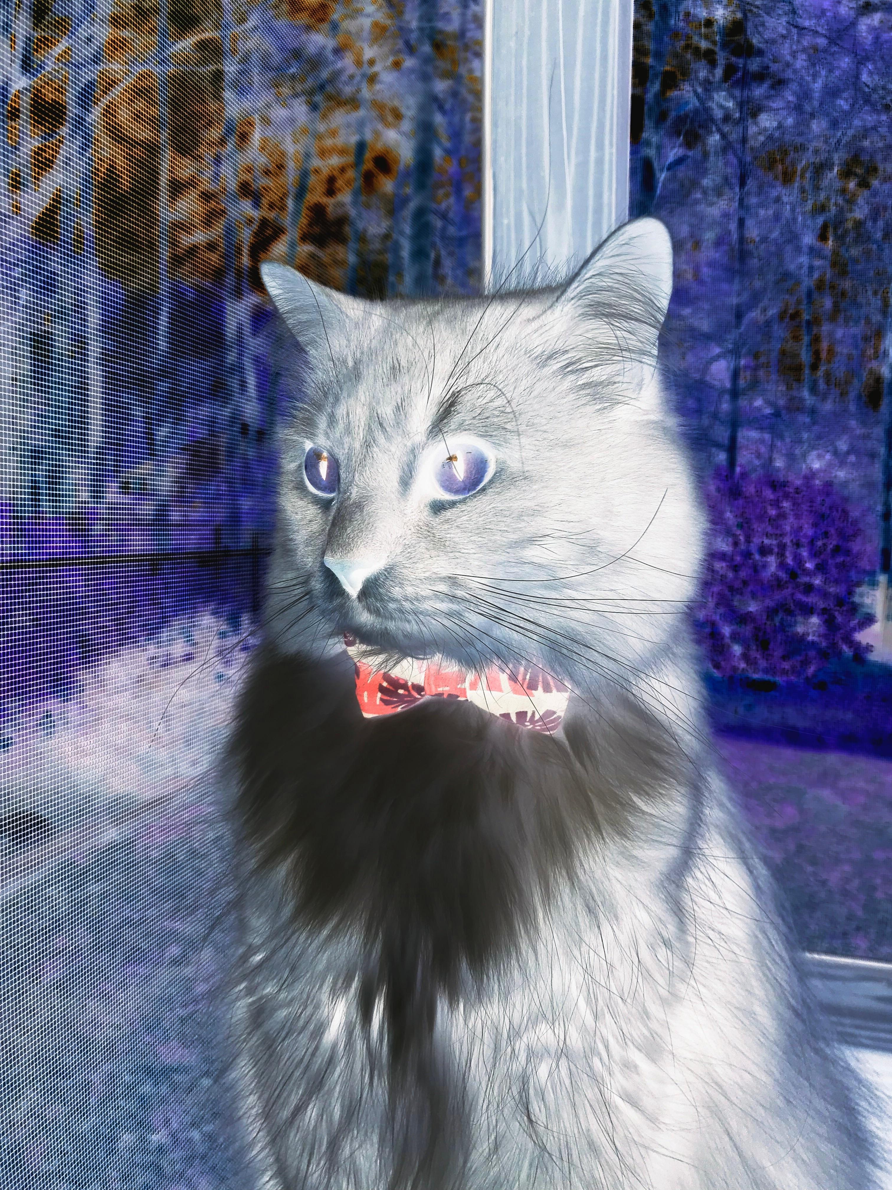 唯一解法，罗德里戈，那让利物浦无解的蓝白方程式