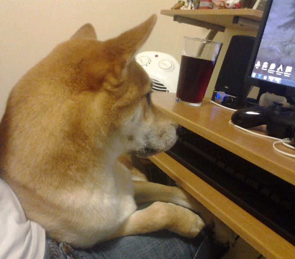 当篮球明星闯入F1,西亚卡姆的决胜弯道