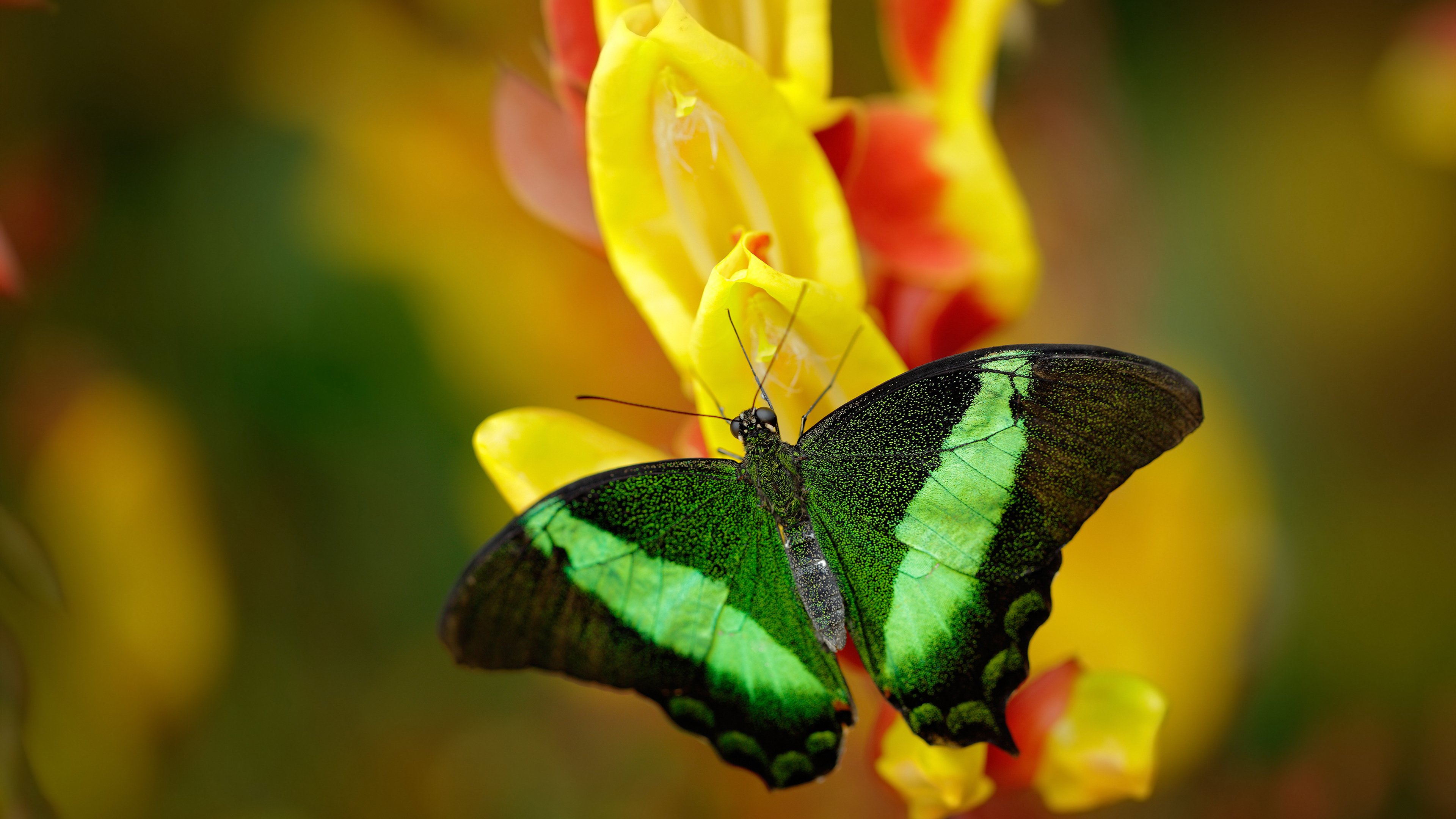平行宇宙的绿茵场，当日本稳稳拿下墨西哥时，皮克正在另一时空带队取胜