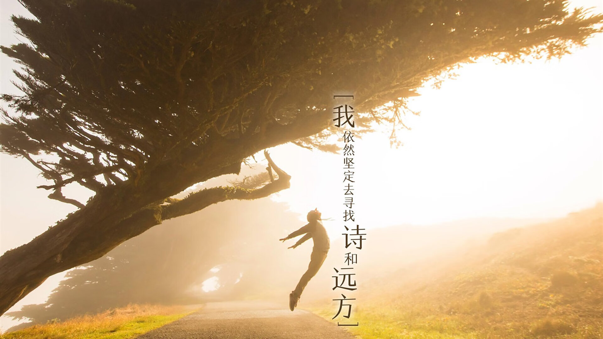 雷恩斩曼城，小人物戈麦斯，如何在终场哨响前改写了欧冠剧本？