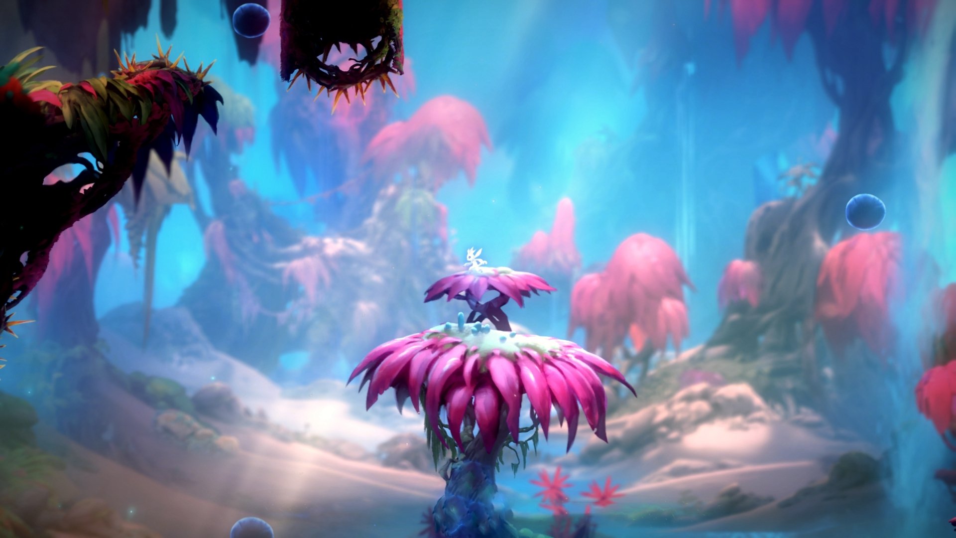 鹈鹕单节火力全开轰垮新疆，布克从低谷到救赎者