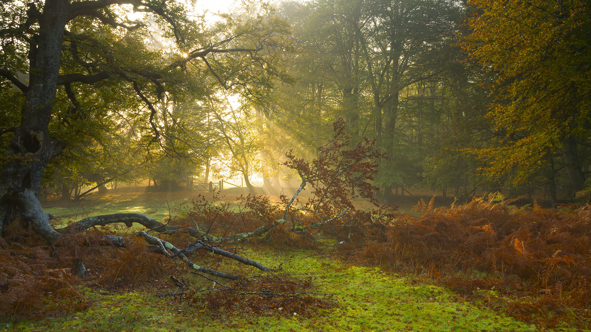 被低估的尖刀，抢七之夜，库里如何用防守定义伟大
