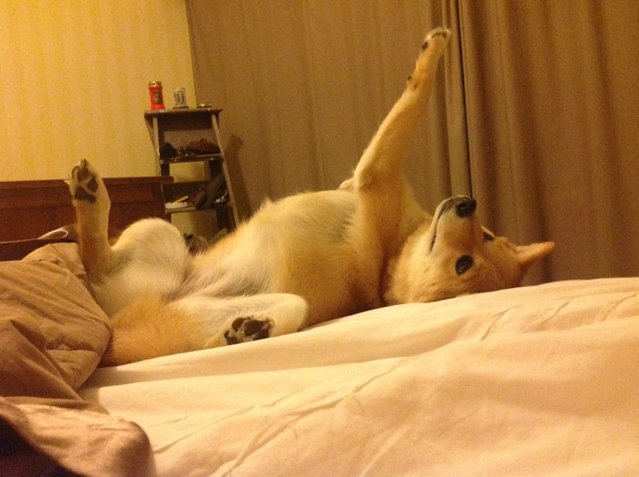 个人英雄主义终结比赛?马刺用团队公式给辽宁上了一课,霍勒迪最后一投只是团队闭环的句点