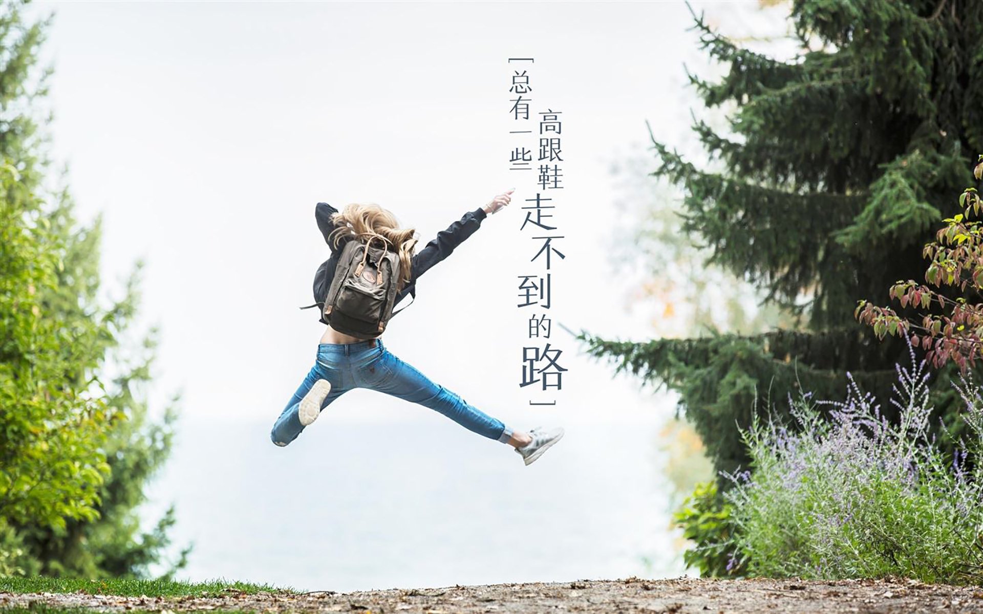 极速与节奏,当F1冠军之夜遇见东契奇的巨星时刻