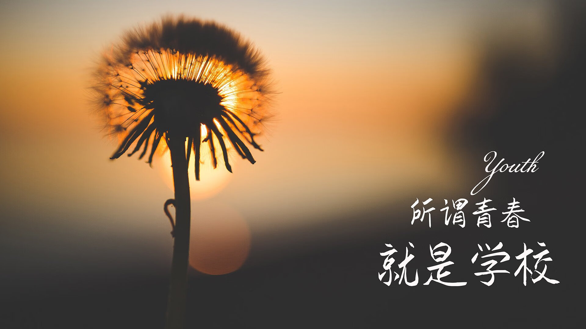 唯一性的节奏，小贾伦在猛龙与爵士之战中的绝对掌控