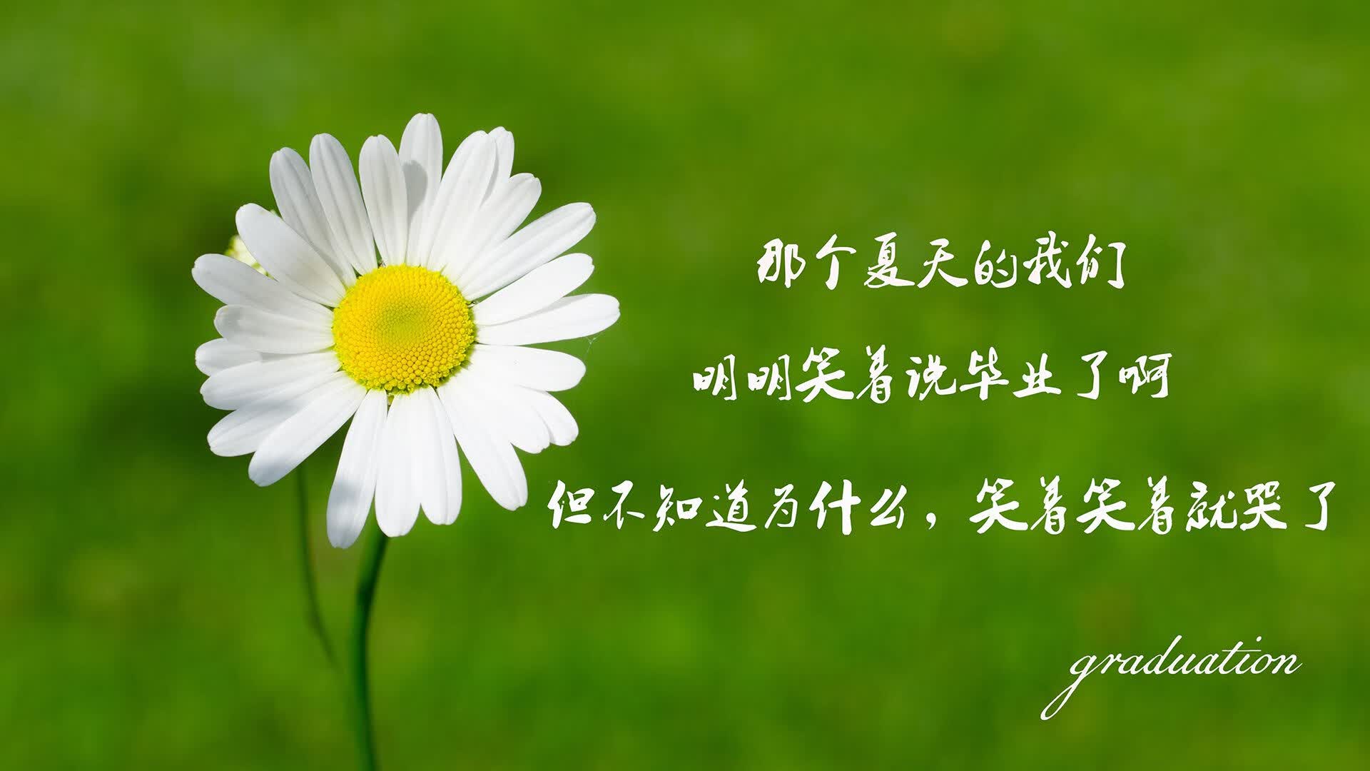 这是一篇为您定制的关于2026世界杯A组焦点战的文章,包含了主题挖掘、标题构思以及完整的叙事内容