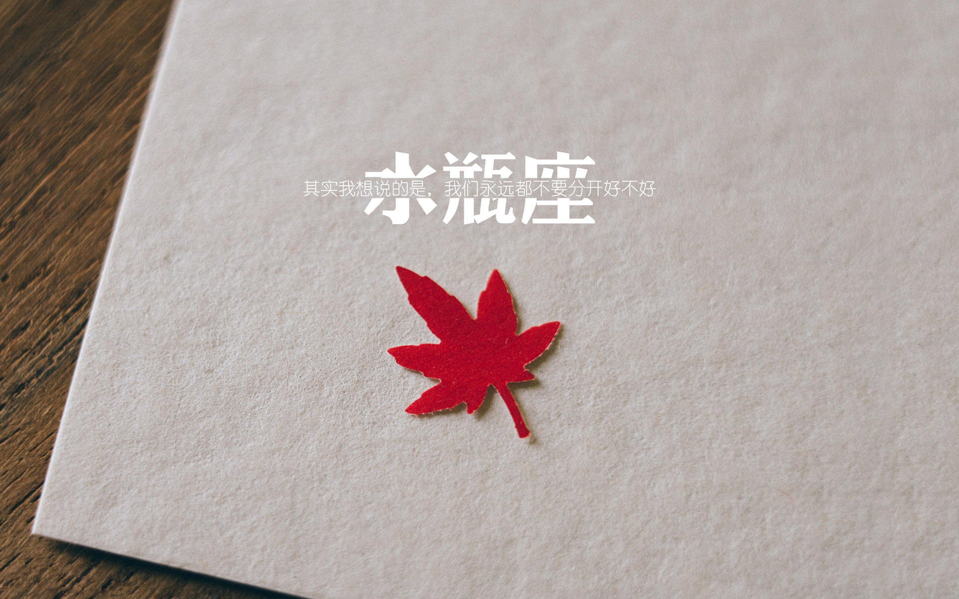 绿茵孤勇,2026世界杯A组血战,澳大利亚以铁血之躯封杀非洲雄鹰,孙兴慜绝命一击撼动乾坤